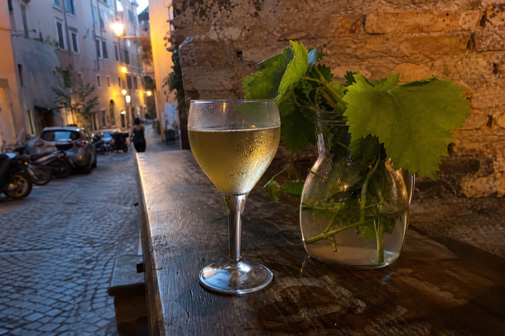 A chilled glass of pale white wine on an enoteca counter with vine leaves behind